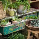 Unternehmen 13 Bild GARTEN-CENTER KREMER GMBH Produktion und Vertrieb von Pflanzen am Remscheid NW