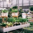 Unternehmen 16 Bild GARTEN-CENTER KREMER GMBH Produktion und Vertrieb von Pflanzen am Remscheid NW