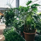 Unternehmen 17 Bild GARTEN-CENTER KREMER GMBH Produktion und Vertrieb von Pflanzen am Remscheid NW