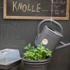 Unternehmen 18 Bild GARTEN-CENTER KREMER GMBH Produktion und Vertrieb von Pflanzen am Remscheid NW