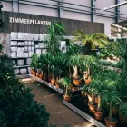 Unternehmen 20 Bild GARTEN-CENTER KREMER GMBH Produktion und Vertrieb von Pflanzen am Remscheid NW