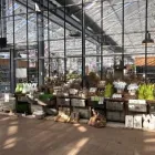 Unternehmen 22 Bild GARTEN-CENTER KREMER GMBH Produktion und Vertrieb von Pflanzen am Remscheid NW