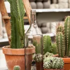 Unternehmen 23 Bild GARTEN-CENTER KREMER GMBH Produktion und Vertrieb von Pflanzen am Remscheid NW