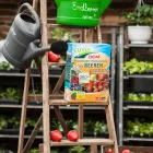 Unternehmen 24 Bild GARTEN-CENTER KREMER GMBH Produktion und Vertrieb von Pflanzen am Remscheid NW