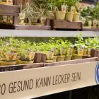 Unternehmen 9 Bild GARTEN-CENTER KREMER GMBH Produktion und Vertrieb von Pflanzen am Lüdenscheid NW