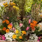 Unternehmen 10 Bild GARTEN-CENTER KREMER GMBH Produktion und Vertrieb von Pflanzen am Lüdenscheid NW