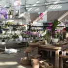 Unternehmen 13 Bild GARTEN-CENTER KREMER GMBH Produktion und Vertrieb von Pflanzen am Lüdenscheid NW