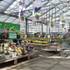 Unternehmen 15 Bild GARTEN-CENTER KREMER GMBH Produktion und Vertrieb von Pflanzen am Lüdenscheid NW