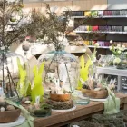 Unternehmen 17 Bild GARTEN-CENTER KREMER GMBH Produktion und Vertrieb von Pflanzen am Lüdenscheid NW