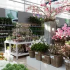 Unternehmen 18 Bild GARTEN-CENTER KREMER GMBH Produktion und Vertrieb von Pflanzen am Lüdenscheid NW
