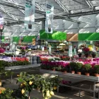 Unternehmen 19 Bild GARTEN-CENTER KREMER GMBH Produktion und Vertrieb von Pflanzen am Lüdenscheid NW