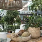 Unternehmen 20 Bild GARTEN-CENTER KREMER GMBH Produktion und Vertrieb von Pflanzen am Lüdenscheid NW