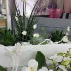 Unternehmen 2 Bild GARTENCENTER A-Z VELBERT GMBH Spezialbauunternehmen am Velbert NW