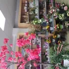 Unternehmen 18 Bild GARTENCENTER A-Z VELBERT GMBH Spezialbauunternehmen am Velbert NW