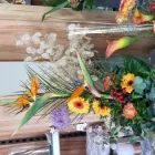 Unternehmen 19 Bild GARTENCENTER A-Z VELBERT GMBH Spezialbauunternehmen am Velbert NW