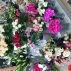 Unternehmen 20 Bild GARTENCENTER A-Z VELBERT GMBH Spezialbauunternehmen am Velbert NW