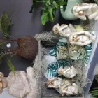 Unternehmen 24 Bild GARTENCENTER A-Z VELBERT GMBH Spezialbauunternehmen am Velbert NW