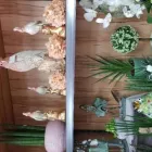 Unternehmen 27 Bild GARTENCENTER A-Z VELBERT GMBH Spezialbauunternehmen am Velbert NW