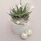 Unternehmen 28 Bild GARTENCENTER A-Z VELBERT GMBH Spezialbauunternehmen am Velbert NW