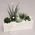 Unternehmen 4 Bild GARTENCENTER A-Z VELBERT GMBH Spezialbauunternehmen am Velbert NW