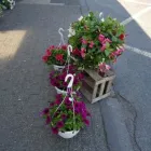 Unternehmen 30 Bild GARTENCENTER A-Z VELBERT GMBH Spezialbauunternehmen am Velbert NW