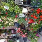 Unternehmen 1 Bild GARTENCENTER A-Z VELBERT GMBH Spezialbauunternehmen am Velbert NW