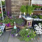 Unternehmen 10 Bild GARTENCENTER A-Z VELBERT GMBH Spezialbauunternehmen am Velbert NW