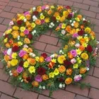 Unternehmen 11 Bild GARTENCENTER A-Z VELBERT GMBH Spezialbauunternehmen am Velbert NW