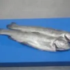 Unternehmen 1 Bild GASTRONOMIEKUNSTSTOFFE BAUER Produktion und Vertrieb von Gastronomiebedarf am Bochum NW