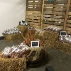 Unternehmen 2 Bild GEORGE AND BOBS Zoohandlung am Essen NW