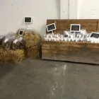 Unternehmen 3 Bild GEORGE AND BOBS Zoohandlung am Essen NW