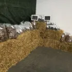 Unternehmen 4 Bild GEORGE AND BOBS Zoohandlung am Essen NW