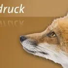 Unternehmen 2 Bild GROSCHE DRUCK UND MEDIEN GMBH Presse & Bücher am Essen NW