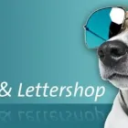 Unternehmen 4 Bild GROSCHE DRUCK UND MEDIEN GMBH Presse & Bücher am Essen NW