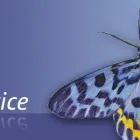 Unternehmen 5 Bild GROSCHE DRUCK UND MEDIEN GMBH Presse & Bücher am Essen NW