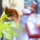 Unternehmen 4 Bild HAAR TEAM 42 INH. RUTH TJEERDSTRA Friseursalons am Mönchengladbach NW