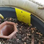 Unternehmen 1 Bild HANDGRAAF, LUCA & LEINEWEBER, KAI (GBR.) Service & Dienstleistung am Essen NW