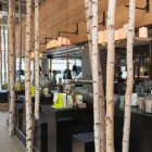 Unternehmen 1 Bild HANS IM GLÜCK BURGERGRILL & BAR Vegetarische Restaurants am Wiesbaden HE