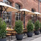Unternehmen 2 Bild HANS IM GLÜCK BURGERGRILL & BAR Vegetarische Restaurants am Mannheim BW