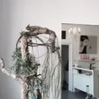 Unternehmen 18 Bild HAUS DER SCHÖNHEIT - JASMIN Wellness-Center am Düsseldorf NW