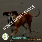 Unternehmen 16 Bild HAUSHALT FREI (HAUSHALTSHILFE UND GEBÄUDEREINIGUNG) Service & Dienstleistung am Köln NW