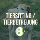 Unternehmen 17 Bild HAUSHALT FREI (HAUSHALTSHILFE UND GEBÄUDEREINIGUNG) Service & Dienstleistung am Köln NW