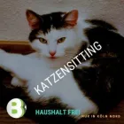 Unternehmen 6 Bild HAUSHALT FREI (HAUSHALTSHILFE UND GEBÄUDEREINIGUNG) Service & Dienstleistung am Köln NW