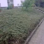 Unternehmen 1 Bild HAUSMEISTERSERVICE ELMA HAUSDIENST Teppichreinigung, Polstermöbelreinigung am Remscheid NW