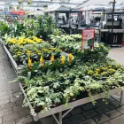 Unternehmen 3 Bild HELLWEG - DIE PROFI-BAUMÄRKTE GELSENKIRCHEN Baumärkte, Heimwerkermärkte am Gelsenkirchen NW