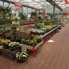 Unternehmen 1 Bild HELLWEG - DIE PROFI-BAUMÄRKTE LÜDENSCHEID Baumärkte, Heimwerkermärkte am Lüdenscheid NW