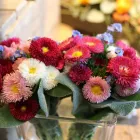 Unternehmen 2 Bild HOLGER BREMER BLUMENLADEN & FLORIST IN BERGEDORF Produktion und Vertrieb von Pflanzen am Hamburg HH