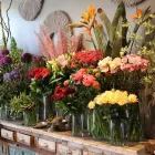 Unternehmen 3 Bild HOLGER BREMER BLUMENLADEN & FLORIST IN BERGEDORF Produktion und Vertrieb von Pflanzen am Hamburg HH