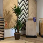 Unternehmen 4 Bild HOLZLAND KLEIN - FENSTER - TÜREN - PARKETT Türfachhandel am Mainz RP