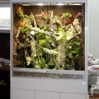 Unternehmen 6 Bild HOPPE-TERRARIENBAU-EXCLUSIV Zoohandlungen am Hilden NW